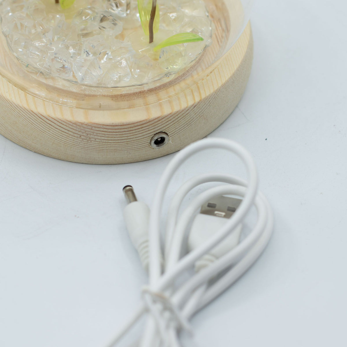 Lichtdekoration unter Glas – Zwei Löwenzahnblüten · USB