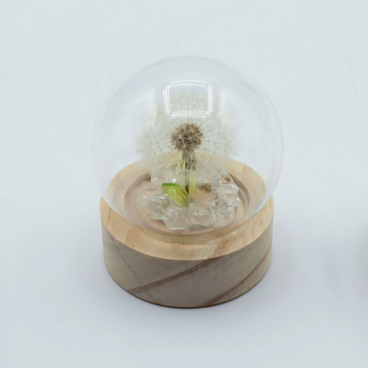 Lichtdekoration unter Glas – Löwenzahn · Batterie
