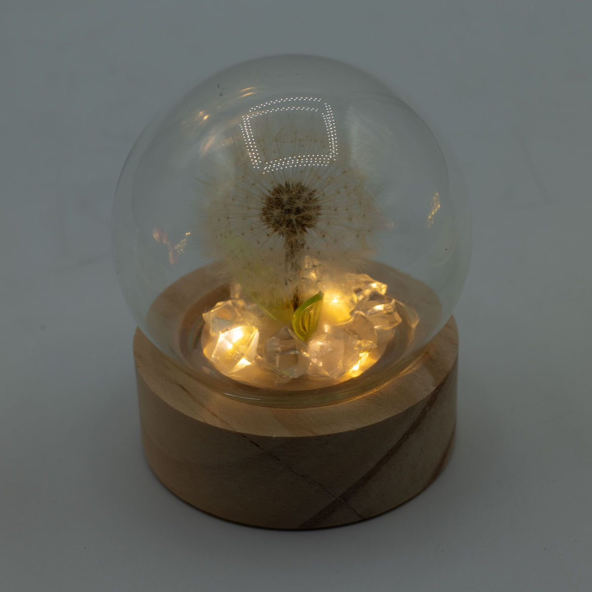 Lichtdekoration unter Glas – Löwenzahn · Batterie